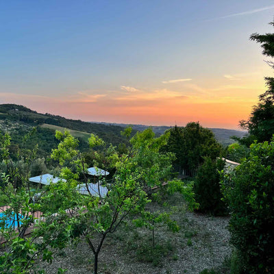 Sunset over a green hillside with trees and a clear sky transitioning from blue to orange hues.